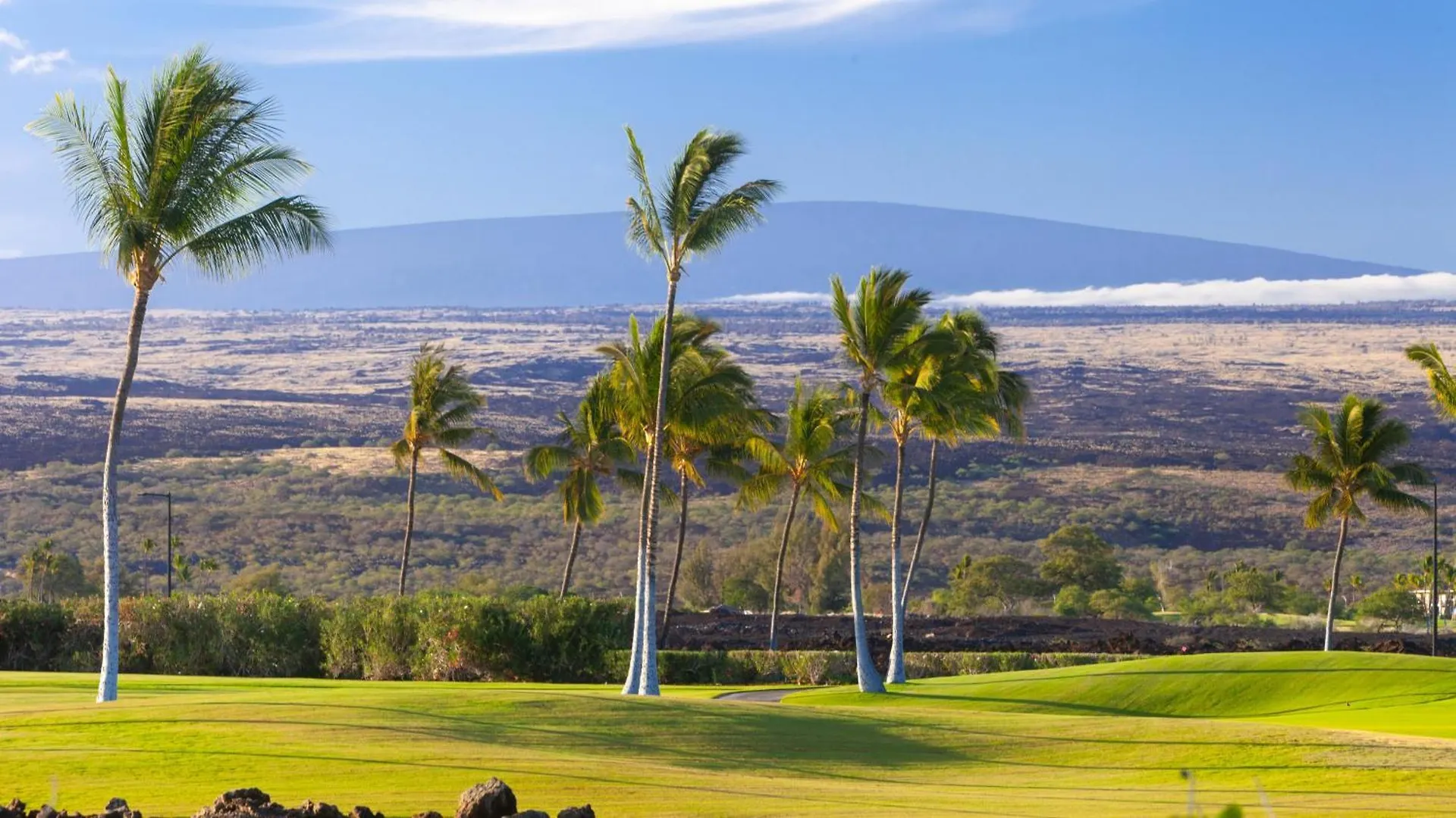 Elegant Escape Elegant 4Br Laulea Home With Pool And Ocean View Waikoloa 0*,