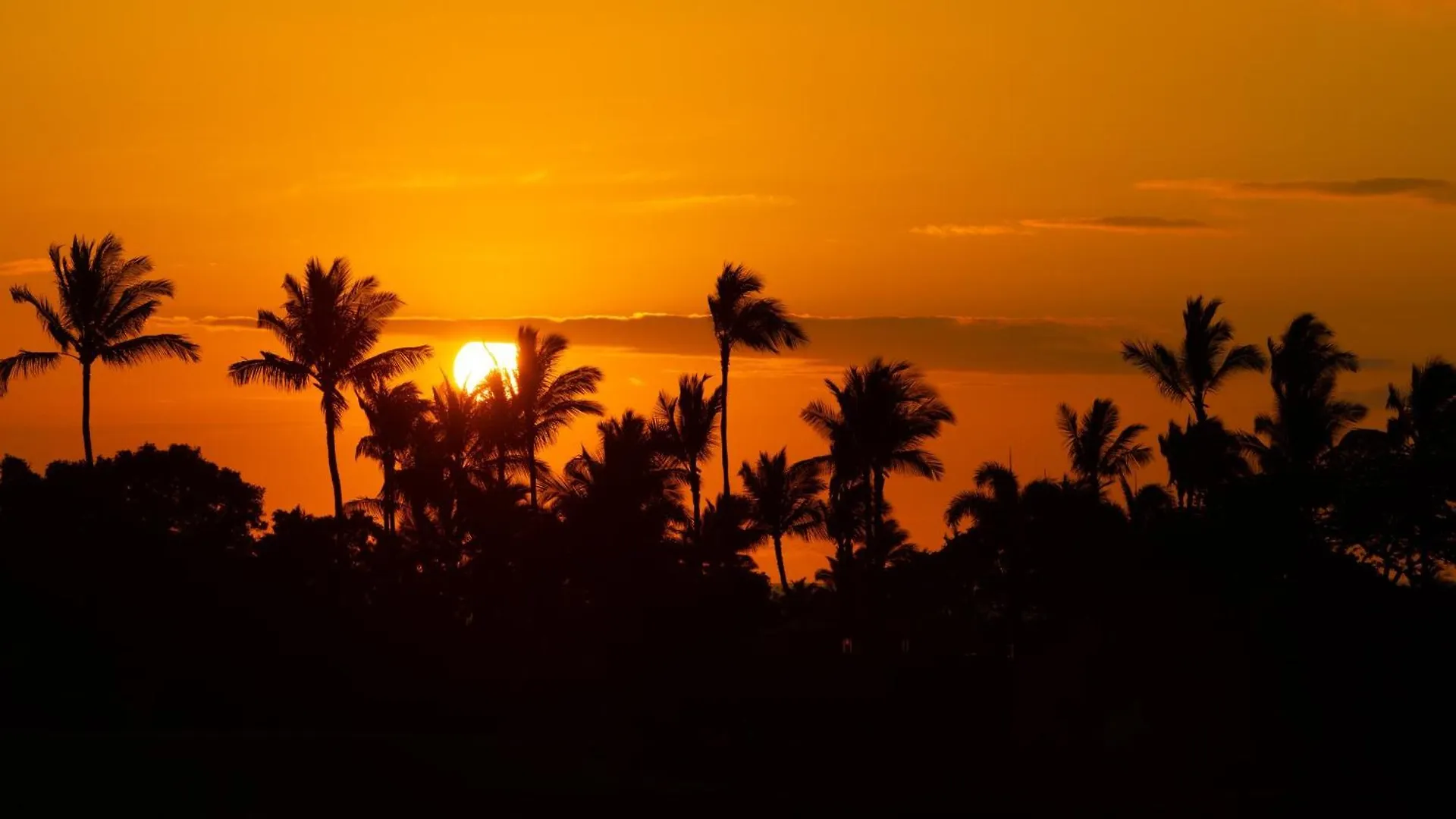 Elegant Escape Elegant 4Br Laulea Home With Pool And Ocean View Waikoloa Holiday home